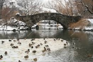 New York inverno  A Manhattan, nel cuore di New York. E dinverno costa meno
